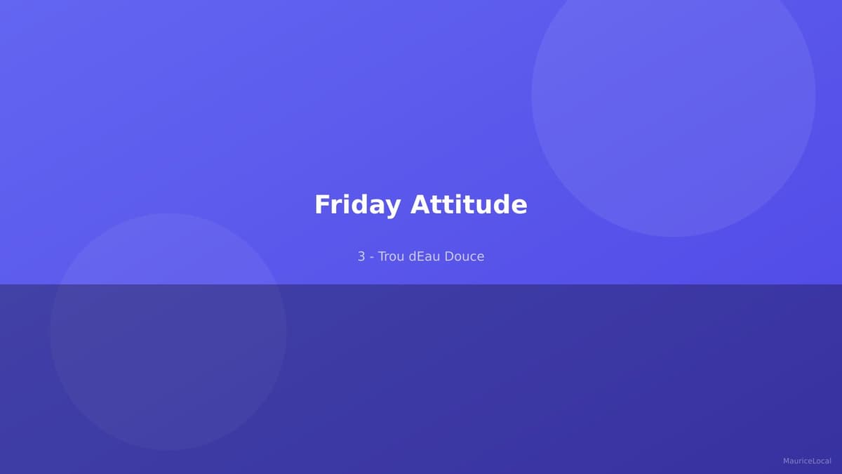 Friday Attitude - Piscine et ambiance décontractée