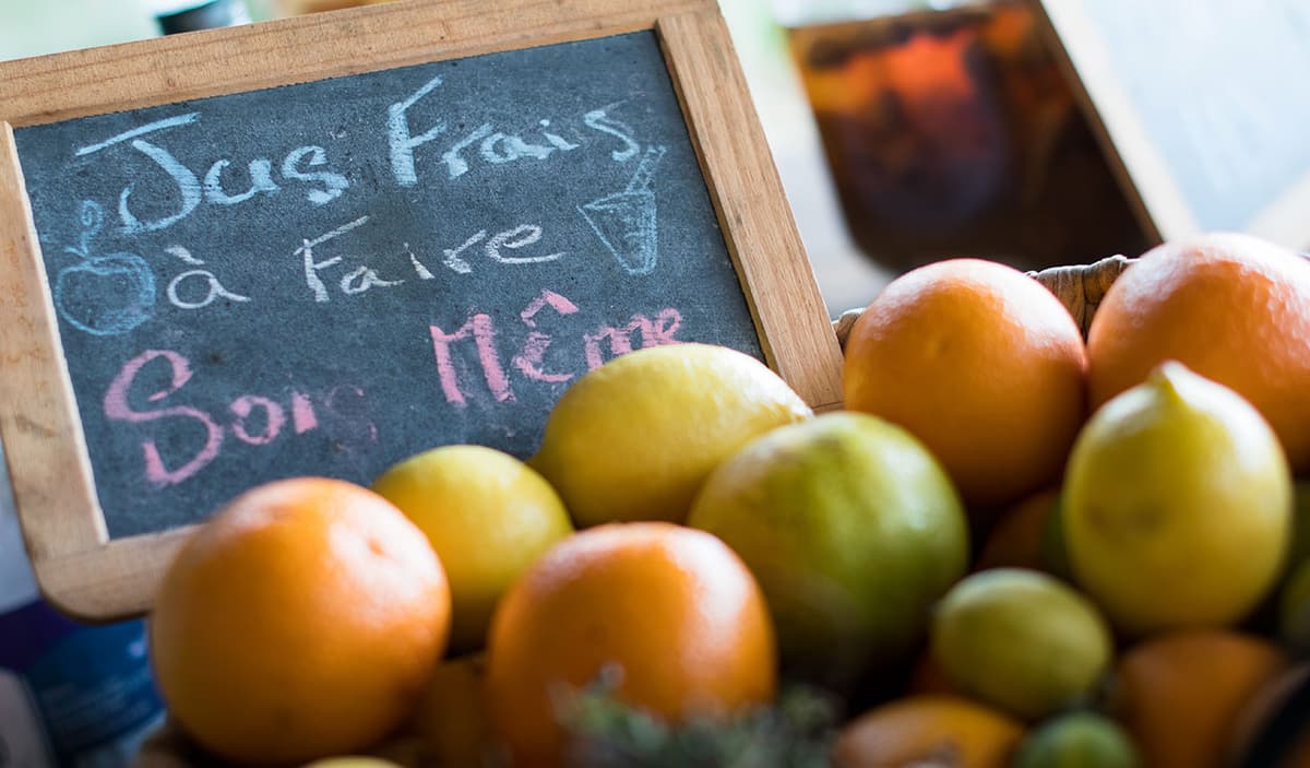 Vue détaillée du Otentic Eco Tent