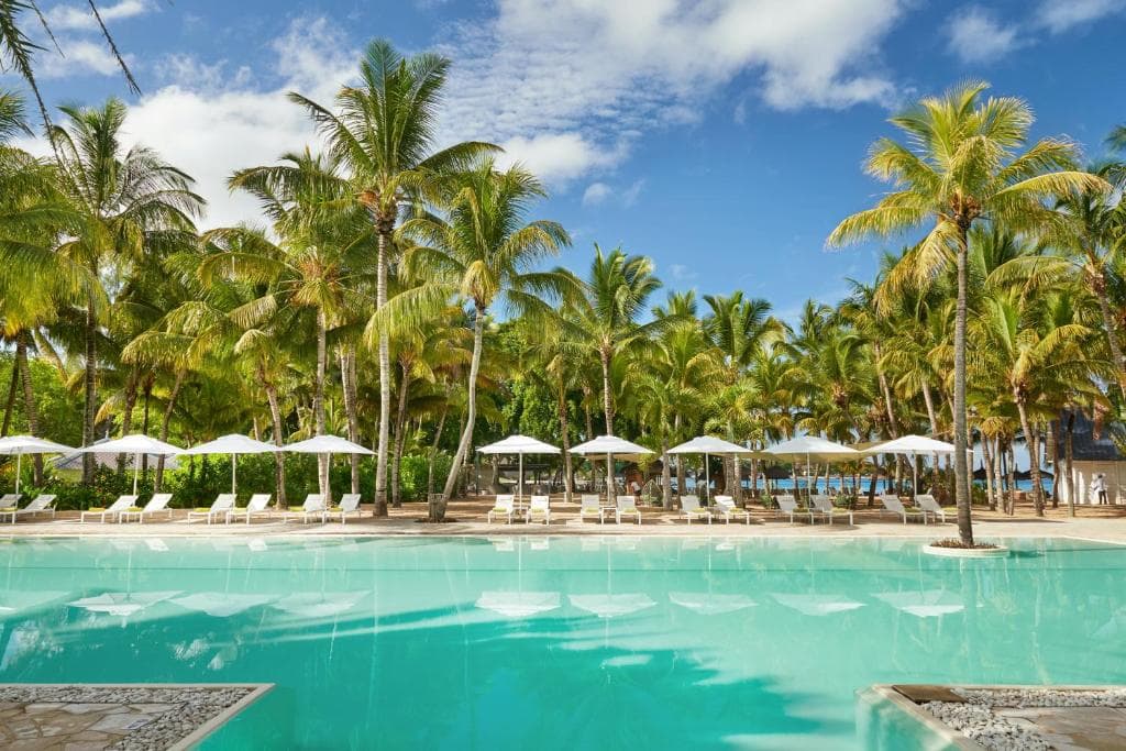 Vue détaillée du Ravenala Attitude