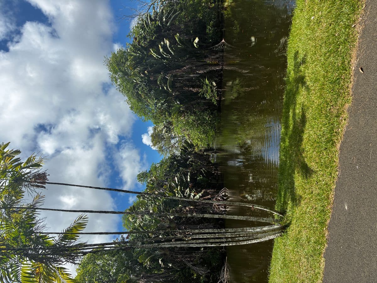 Exposition sur l'histoire du sucre à Maurice