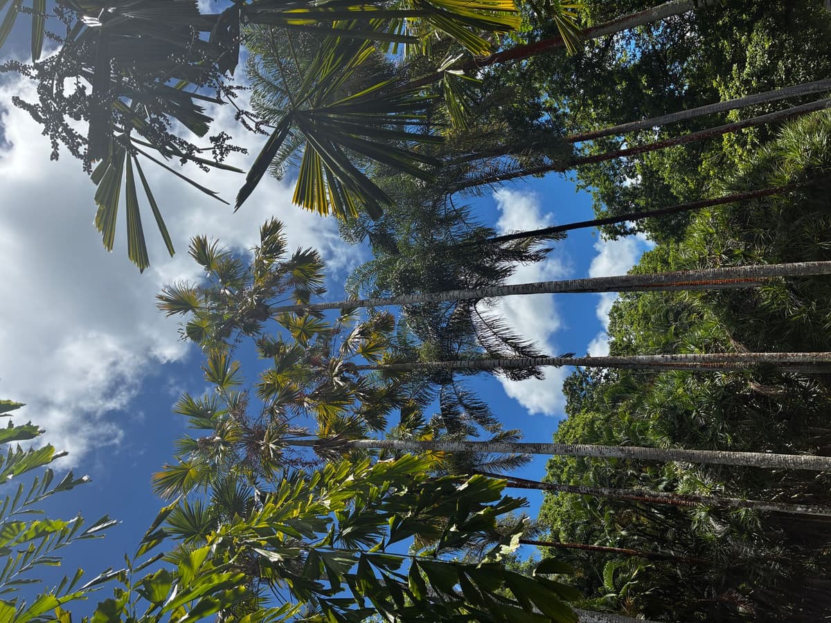 Façade historique de L'Aventure du Sucre à Pamplemousses