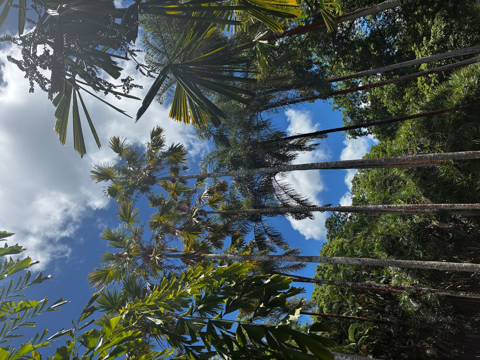 Façade historique de L'Aventure du Sucre à Pamplemousses