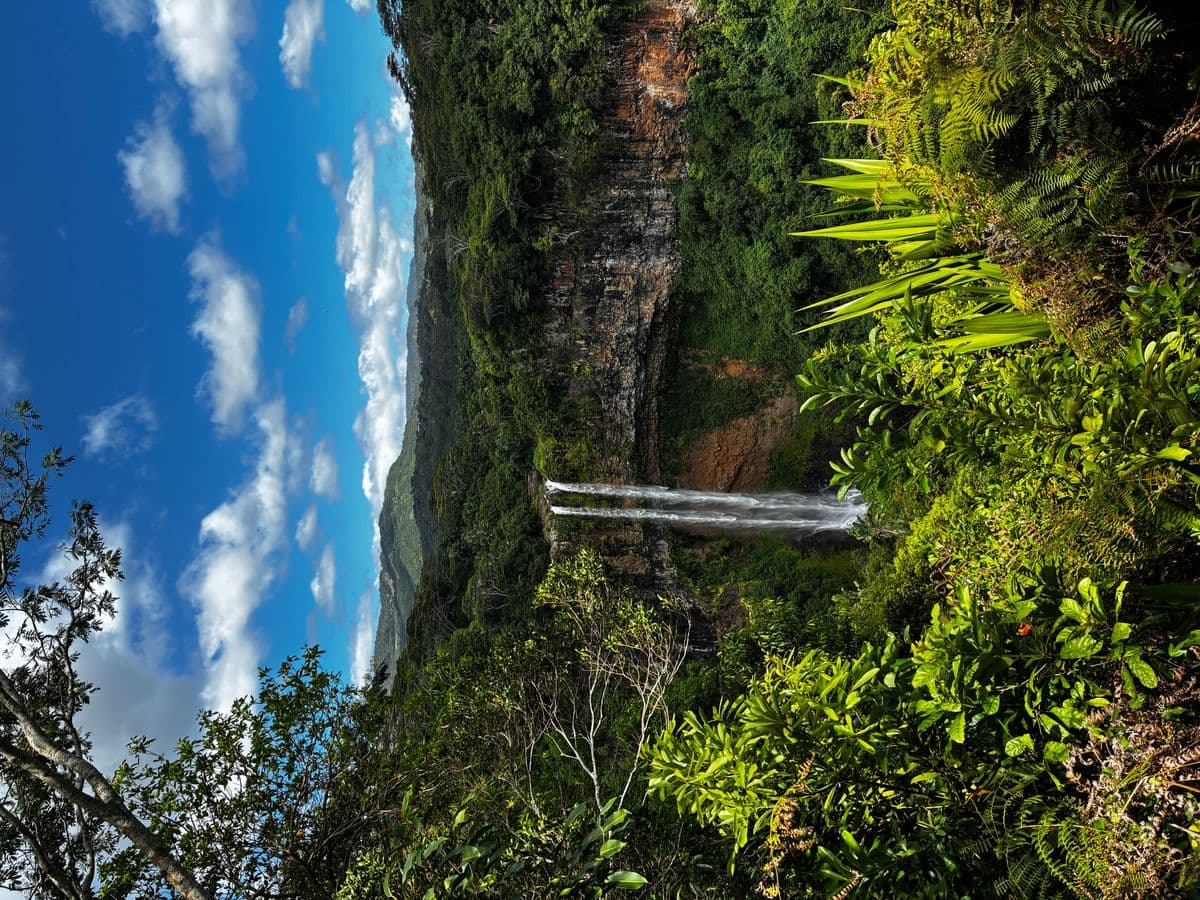 Cascade principale de Tamarin entourée de végétation tropicale