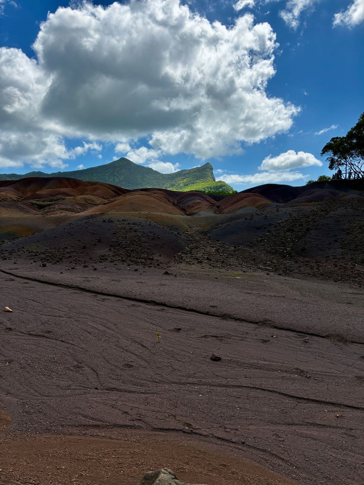 Cascade de Chamarel vue depuis le belvédère panoramique