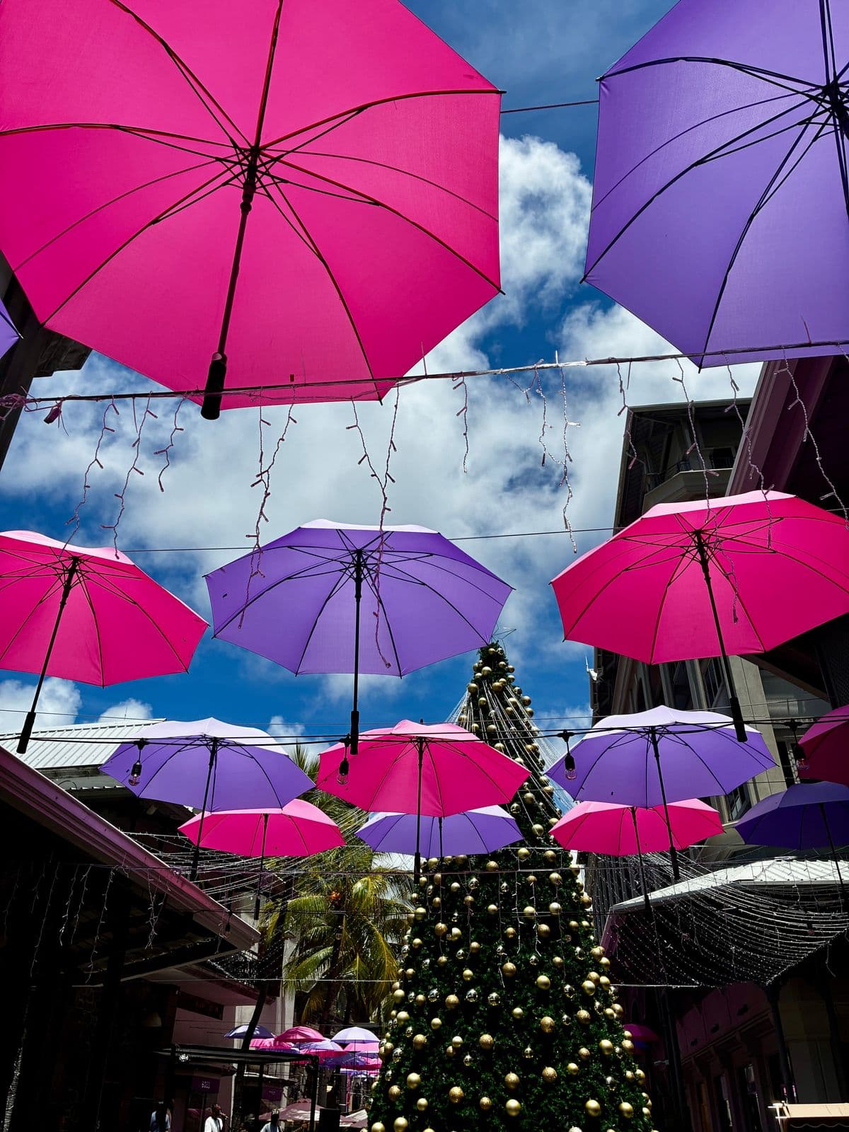 Préparation des dholl puris sur la plaque chaude chez Ram
