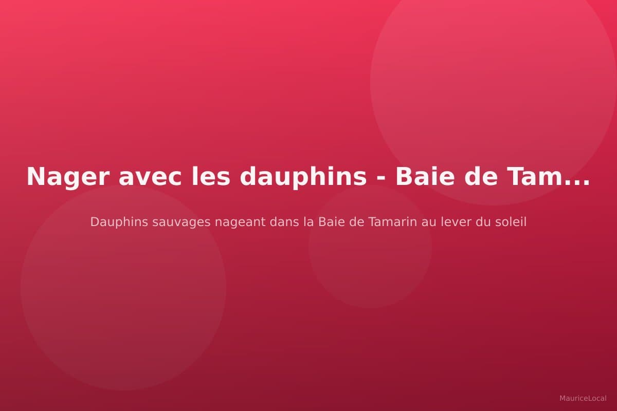 Dauphins sauvages nageant dans la Baie de Tamarin au lever du soleil