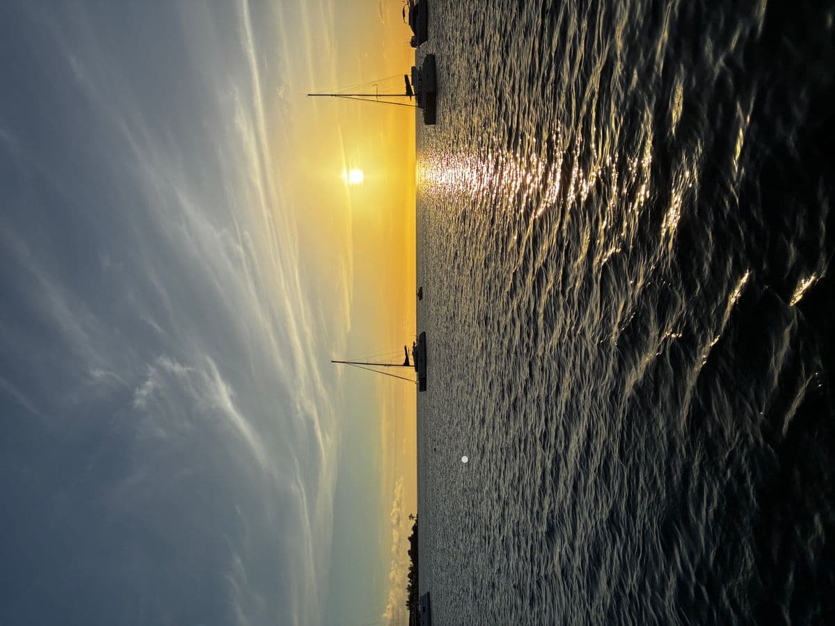 Eaux cristallines de Flic-en-Flac avec poissons tropicaux