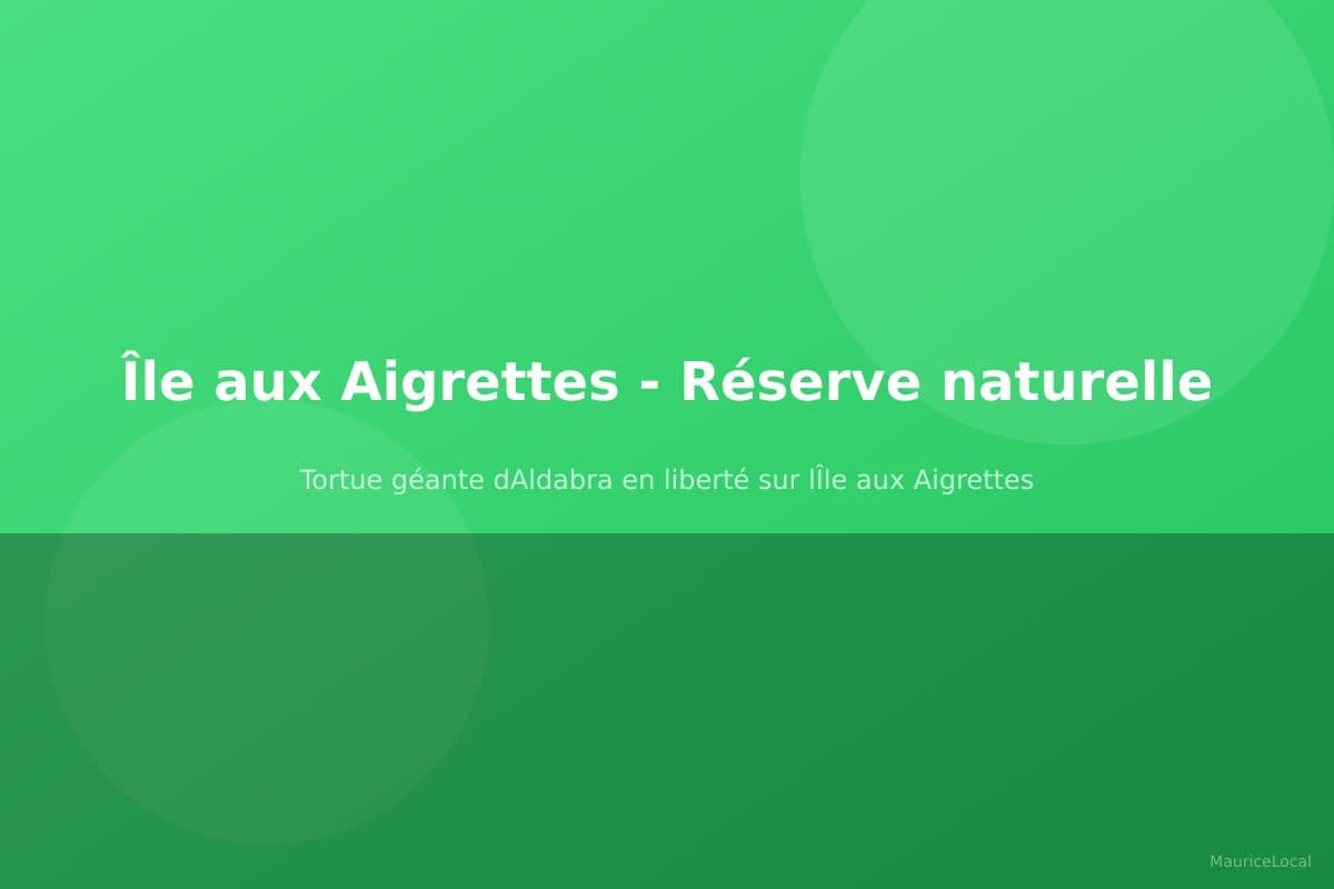 Tortues géantes Île aux Aigrettes