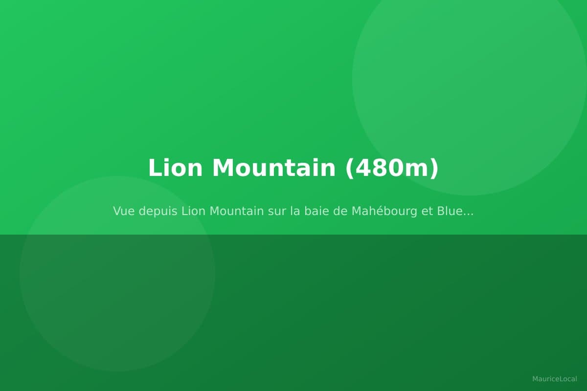 Vue depuis Lion Mountain sur la baie de Mahébourg et Blue Bay