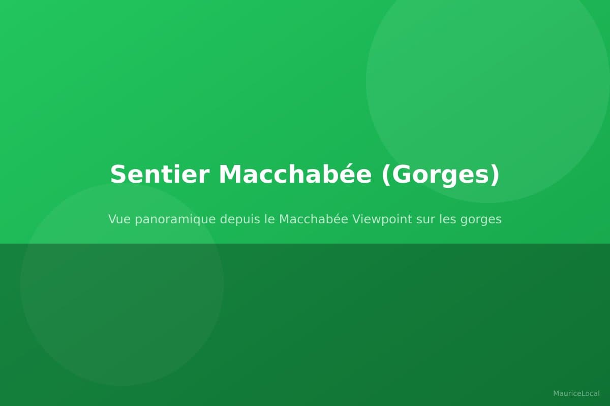 Vue panoramique depuis le Macchabée Viewpoint sur les gorges