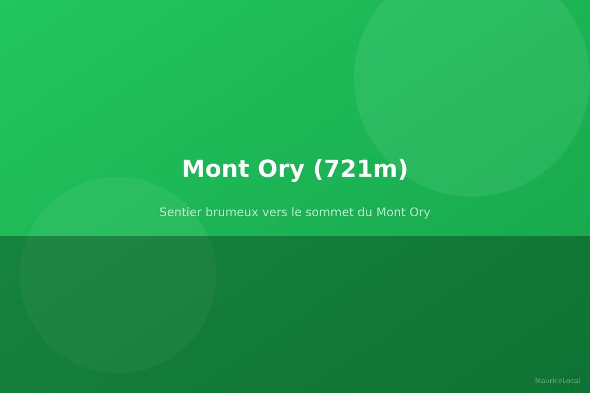 Sentier brumeux vers le sommet du Mont Ory