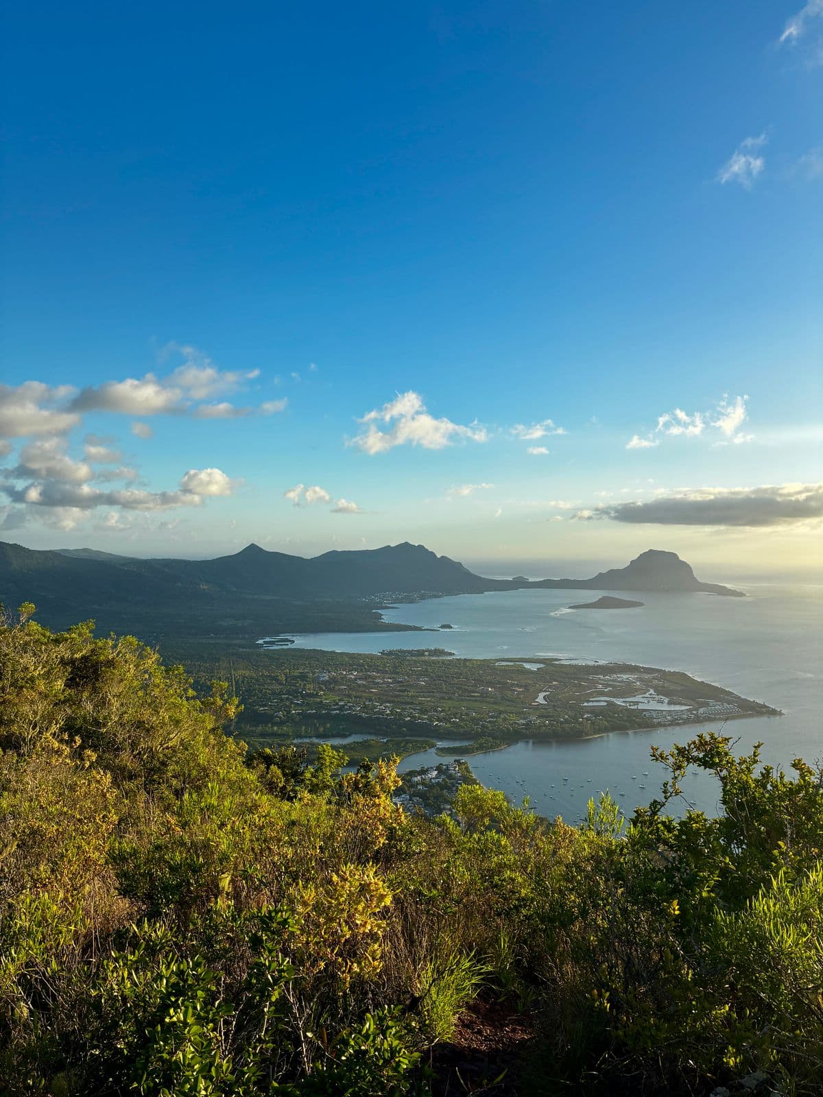 Sentier de randonnée du Morne Brabant à travers la végétation tropicale