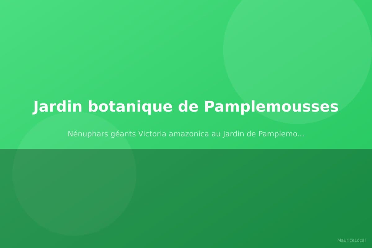 Nénuphars géants Victoria amazonica au Jardin de Pamplemousses