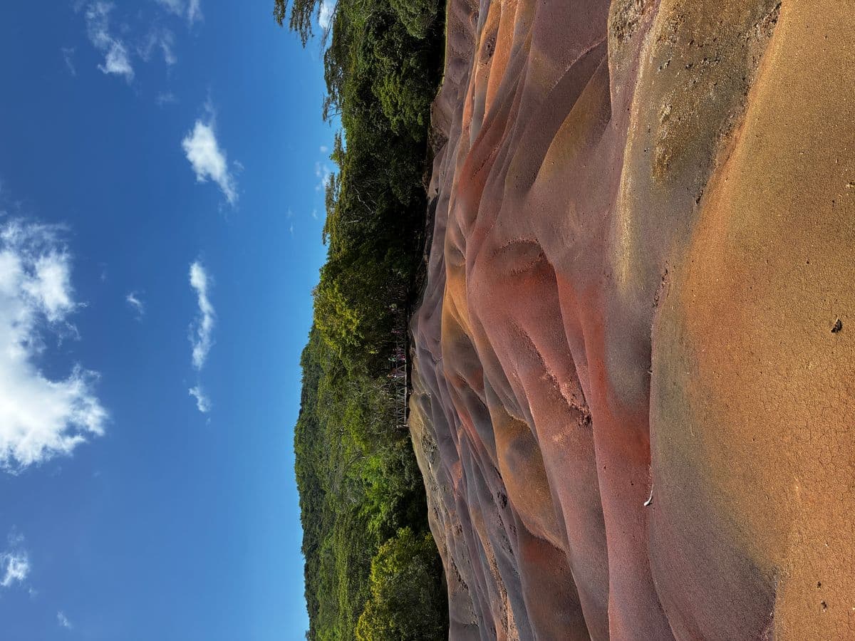 Alambics en cuivre de la Rhumerie de Chamarel