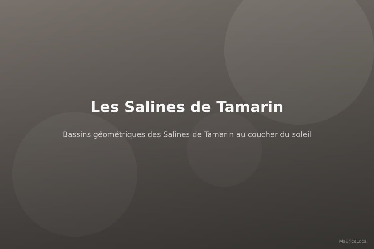 Bassins géométriques des Salines de Tamarin au coucher du soleil