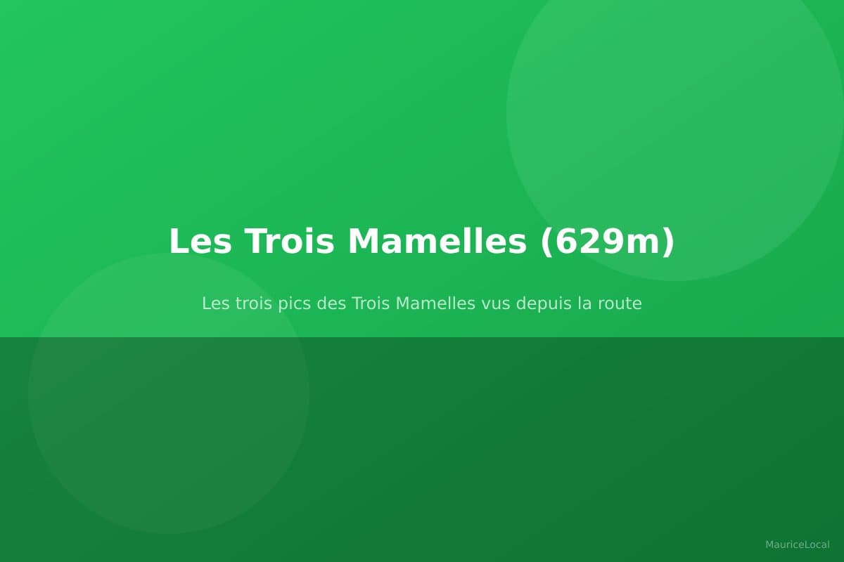 Les trois pics des Trois Mamelles vus depuis la route