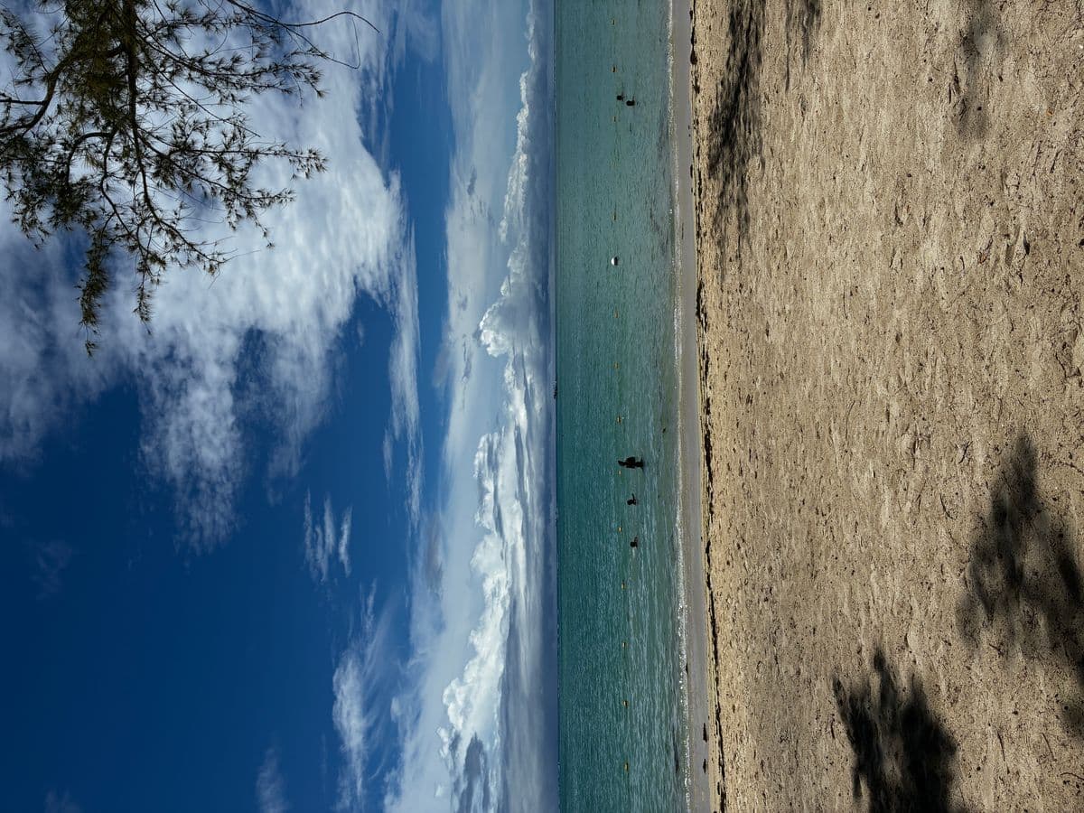 Plage de sable blanc et cocotiers à Trou aux Biches